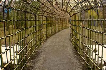 The flower tunnel had no flowers in February. This bamboo tunnel is best viewed in September with various flower creepers which decorate the long winding path.