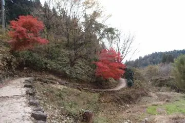 <p>เส้นทางเทรคกิ้ง Magome-Tsumago Trail&nbsp;</p>