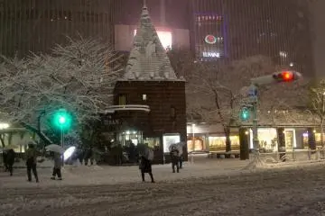 <p>I'm sure the koban (police box) officers in&nbsp;Ginza were freezing that day, but they kept on with their duty and provided full service to the public.</p>