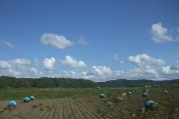 Road trip through Hokkaido countryside.