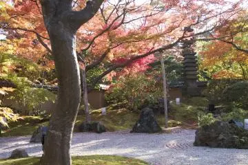 <p>ภาพมุมกว้างของสวนเซ็นในสวนเอ็นซูอิน<br />
&nbsp;</p>