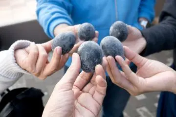 하코네 오와쿠다니의 검은 달걀들