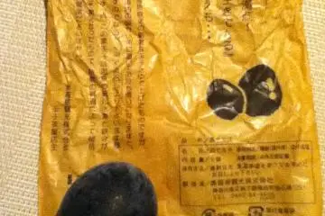 Pembungkus telur bagian belakang