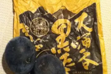 Pembungkus telur bagian depan