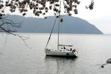 <p>มีคนไปนั่งเรือชมซากุระบานจากในทะเลสาบ</p>