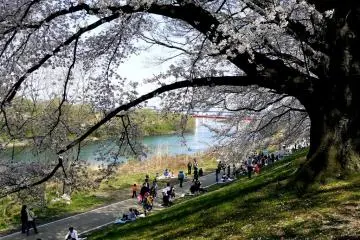 <p>A path runs beside the river</p>