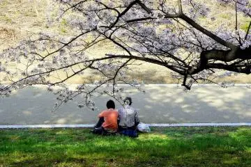 <p>A couple sit on the grass beside the path</p>