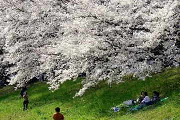 <p>A truly idyllic setting</p>