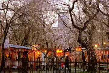 <p>Early evening, before the crowds arrive</p>