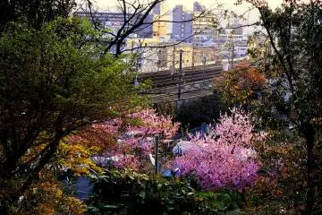 야마시나행 철도 보기