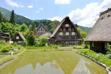 <p>บ้านทรงกัสโชที่เรียงรายกันถูกห้อมล้อมด้วยนาข้าวที่เพิ่งหว่าน</p>
