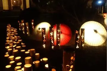 Umbrellas and bamboo temples light up the grounds of a Yamaga temple