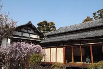 <p>There are plum and cherry-blossom trees at the edge of the lawn</p>