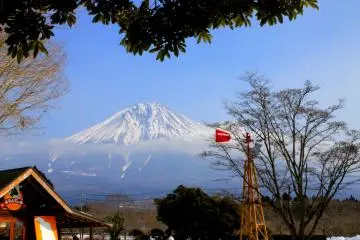 <p>Mt. Fuji stands majestic as it captures not just the farm visitors' fancy, but the animals' as well.</p>