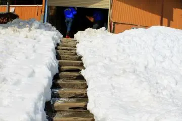 <p>The stairway not to heaven, but to the rabbits' man-made burrow.&nbsp;</p>
