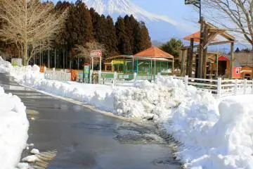 <p>Winter wonderland at Makaino Farm in Fujinomiya City</p>
