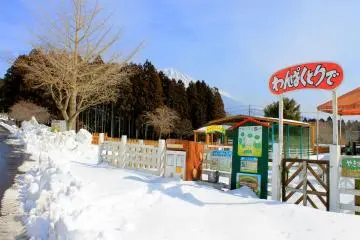 <p>During regular visiting days, this is where the children can run around with the rabbits, goats and pigs.</p>