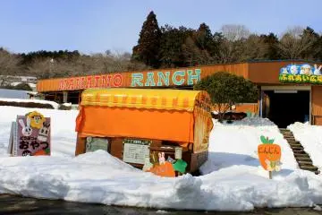 <p>Makaino Ranch, where you can see different kinds of sheep, goats and other farm animals.</p>