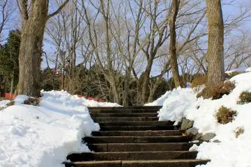 <p>Going to higher grounds to ride on the sled.</p>