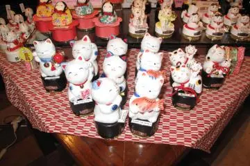<p>ของที่ระลึกขายในร้านบริเวณท่าเรือริมอ่าว</p>