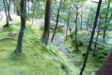 <p>ส่วนหนึ่งของสวนด้านบน</p>