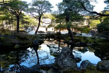 <p>ต้นสนที่สวยงามและหินส่วนใหญ่นี้ถูกยกมาจากวัดและสวนอื่นๆ&nbsp;</p>
