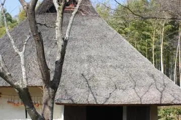 <p>มุมด้านข้างของบ้านไร่โบราณแห่งเมืองเซ็ตซึโนเซะ (Setttsu-Nose) จ.โอซาก้า ที่สวยงามไม่แพ้มุมด้านหน้า</p>