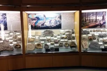 <p>There are many displays of rocks and fossils that line two floors of walls.&nbsp;</p>