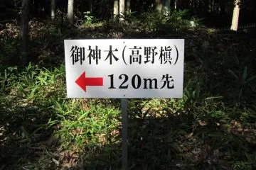Path to the hill shrine