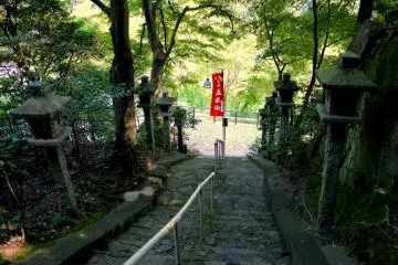 <p>Bright summer sunlight at the path entrance</p>