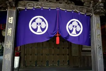 <p>Purple curtain with white tree motif</p>