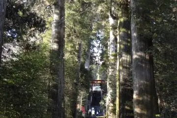 The rear approach to the shrine.