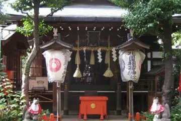 Gallery image