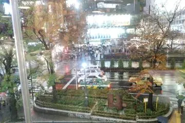 <p>안에서 본 시부야</p>
