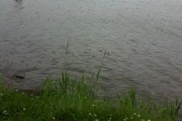 A rainy day can still give you a romantic view

