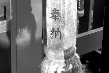 <p>จับแสงยามเช้า</p>