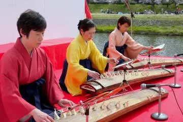 코토 콘서트