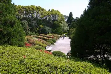 <p>ทางเดินข้างพุ่มดอกอาซาเลียที่กำลังเบ่งบาน</p>