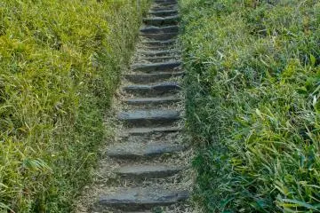 <p>Stone steps which lead to the open ground of The Third Daiba&nbsp;and for a moment you forget that you are just a few minutes walk away from modern infrastructure of driverless trains of Yurikamome&nbsp;or the shopping malls of Odaiba.</p>