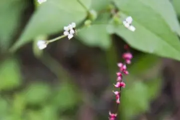 <p>มองหาสีต่างๆระหว่างทาง</p>

<p></p>