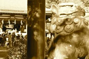 Gallery image