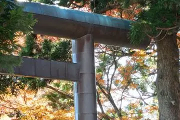 가을의 신사문