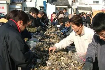 Oyster weekend market