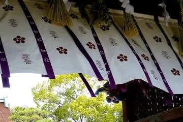 <p>A peaceful spring breeze brought with it the delicate sweet fragrance of plum blossoms</p>