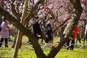 <p>The air is fragrant and still a bit cold</p>