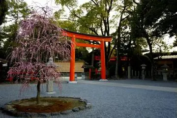 Torii merah di pintu masuk halaman kuil