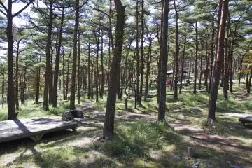 Pour ceux qui le souhaitent des plate-formes en bois sont installées
