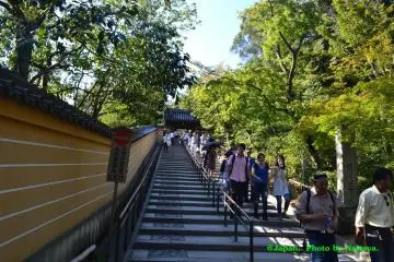 <p>ทางลงจากเนินเขาของวัดคินคะคุจิ</p>