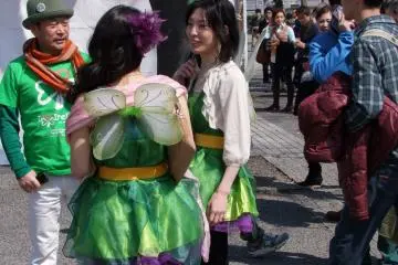 Leprechauns and fairies