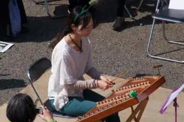 Playing the strings